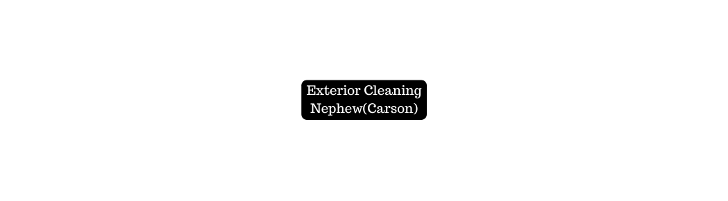 Exterior Cleaning Nephew Carson